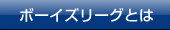 ボーイズリーグとは